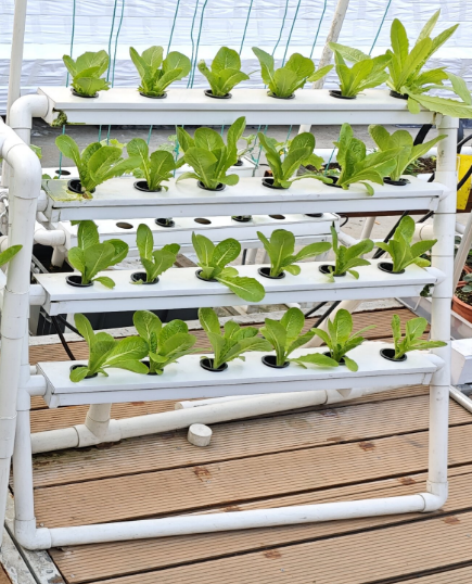 Hydroponic Nft Channel - MINI 24 Holes Vertical Hydroponic System
