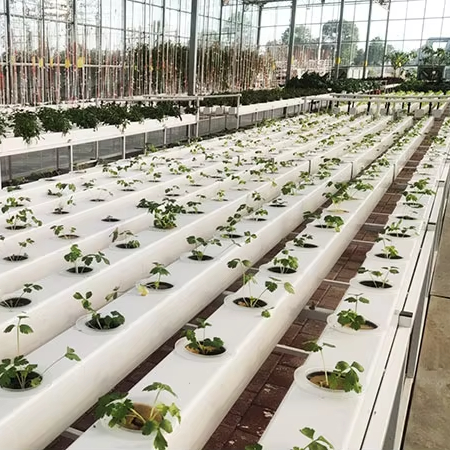 Hydroponic Nft Channel - Commercial Hydroponics Plant Systems Nft Pipe