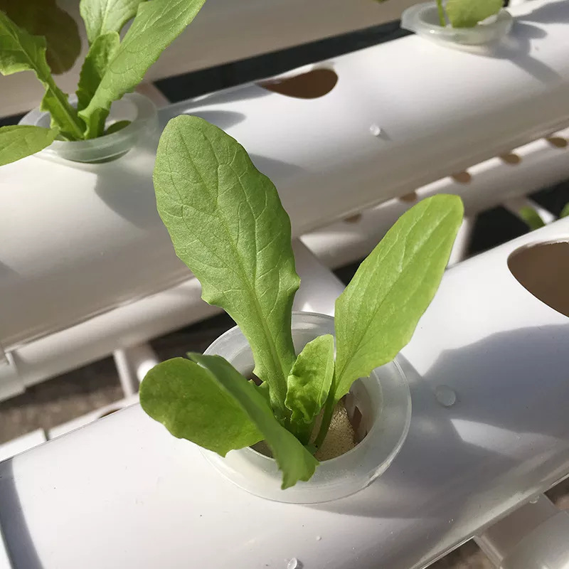 Factory Direct 3-layer Vertica - огляд і ціна Hydroponic Nft Channel
