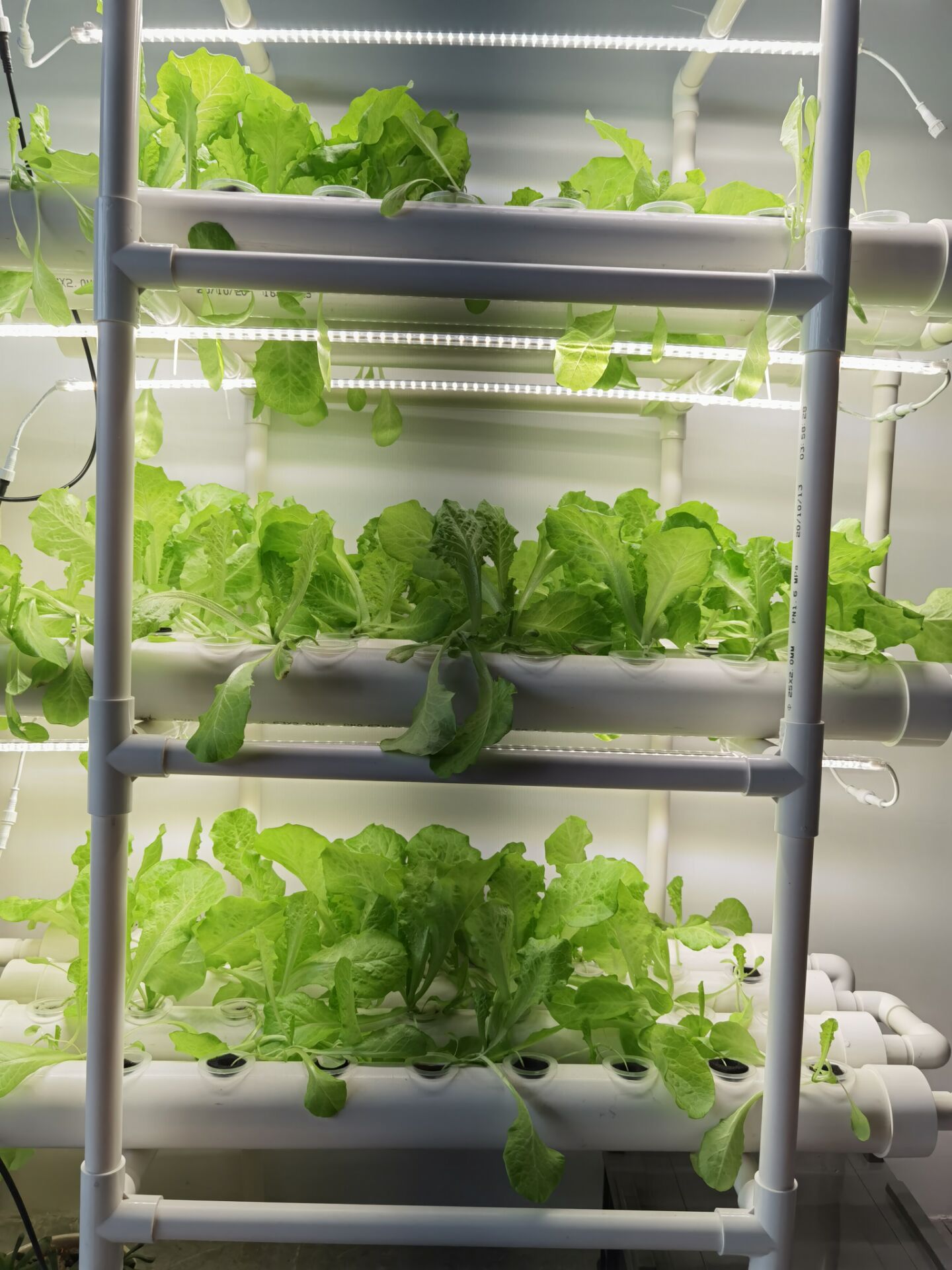 Factory Direct 3-layer Vertica - огляд і ціна Hydroponic Nft Channel