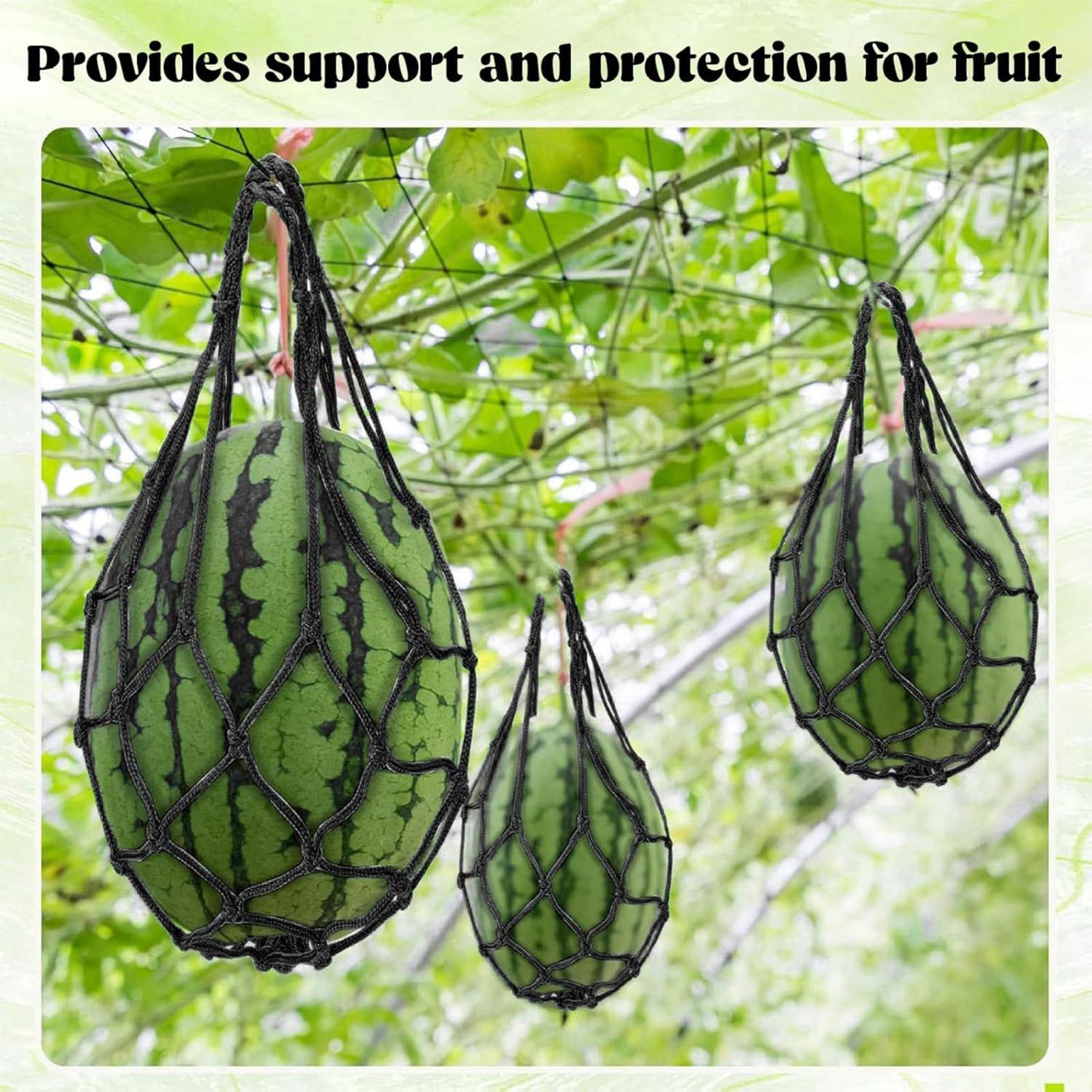 10pcs Watermelon Nets Garden V - огляд і ціна Agriculture Vertical Farming