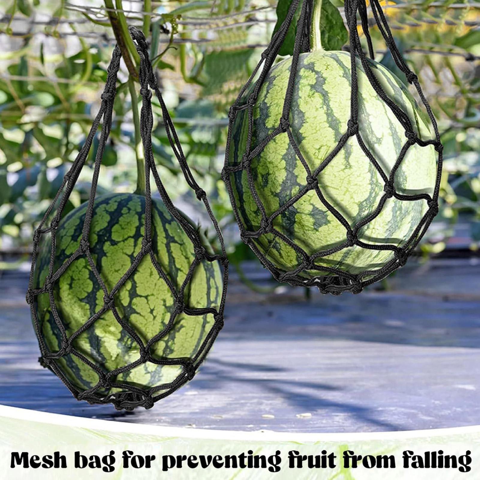 10pcs Watermelon Nets Garden V - огляд і ціна Agriculture Vertical Farming
