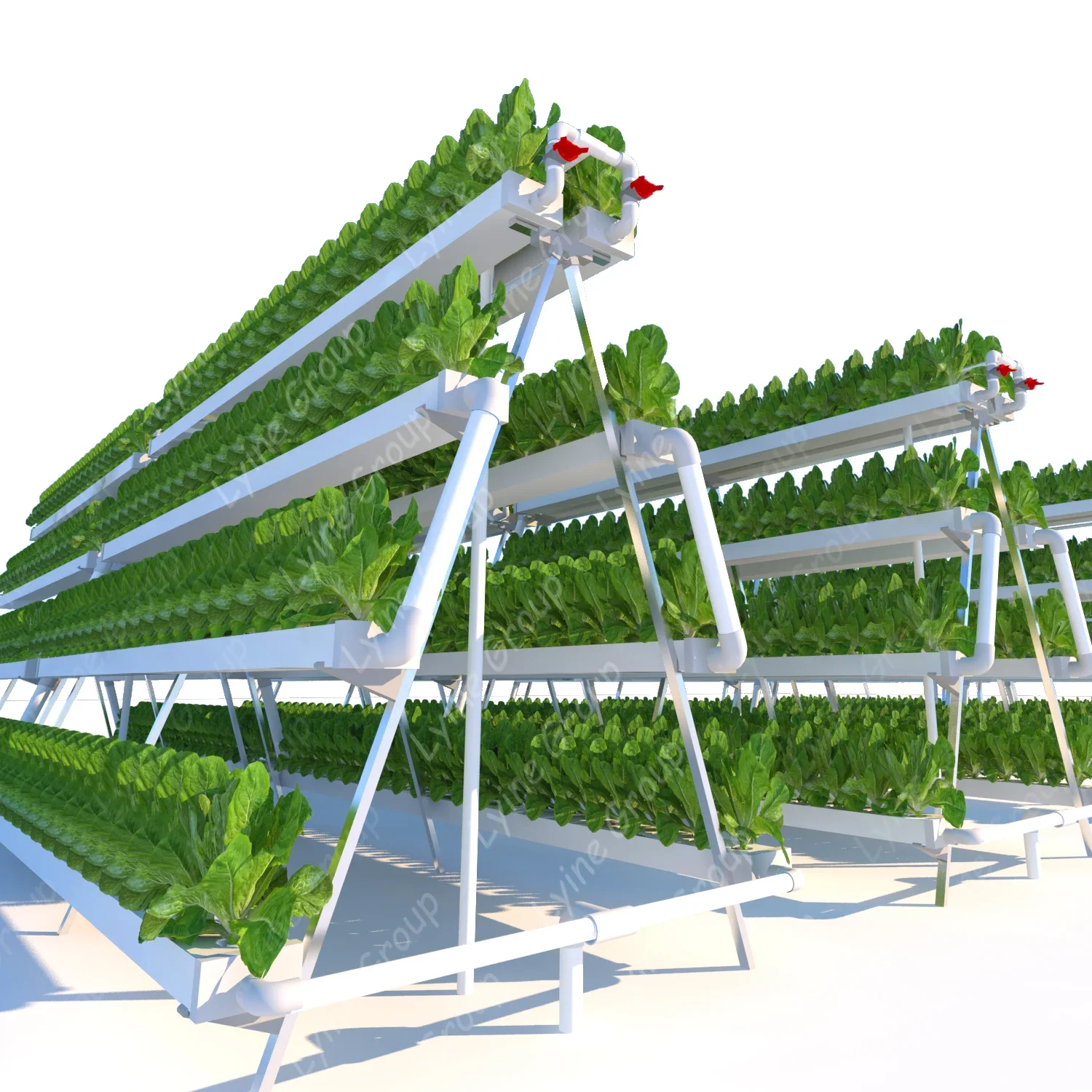 Manufacture Produce Vertical H - огляд і ціна Hydroponic Nft Channel