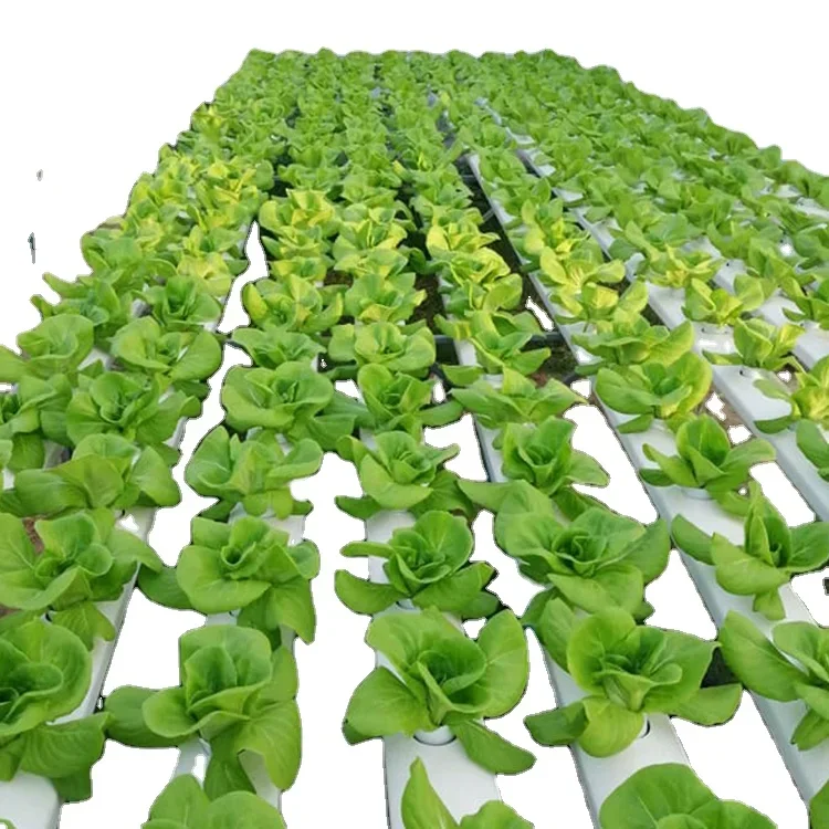 Manufacture Produce Vertical H - огляд і ціна Hydroponic Nft Channel