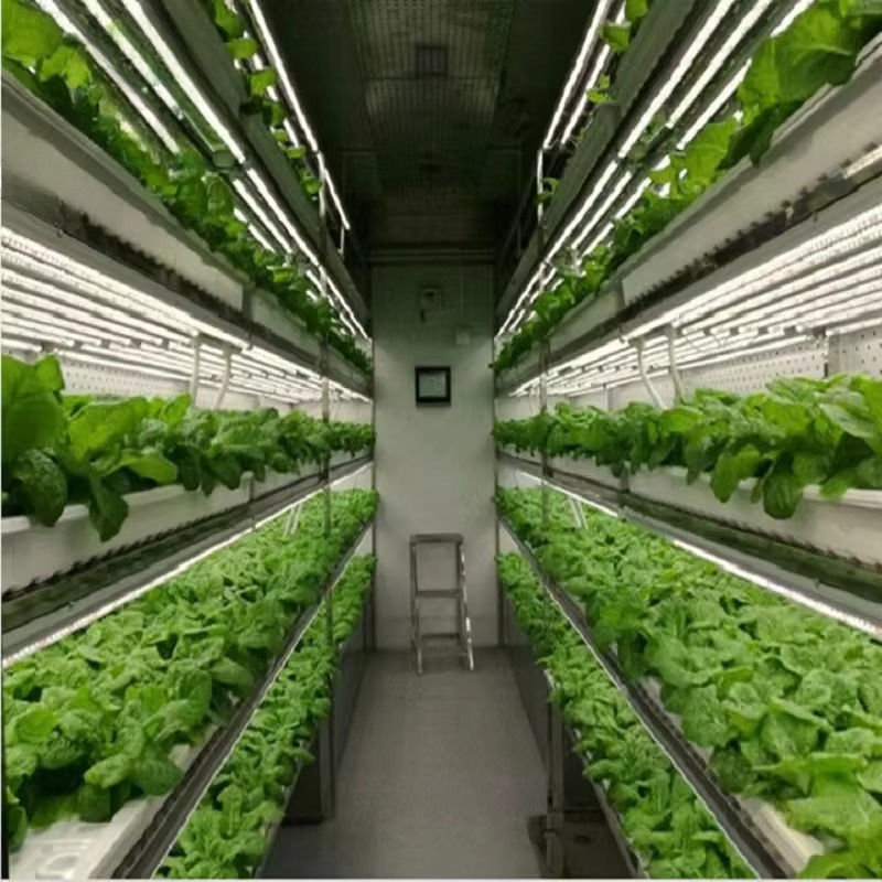 Custom Agricultural Greenhouse - огляд і ціна Agriculture Vertical Farming