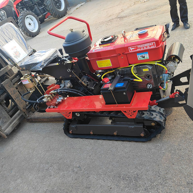 1-Year Warranty Compact Size C - огляд і ціна Farming Year