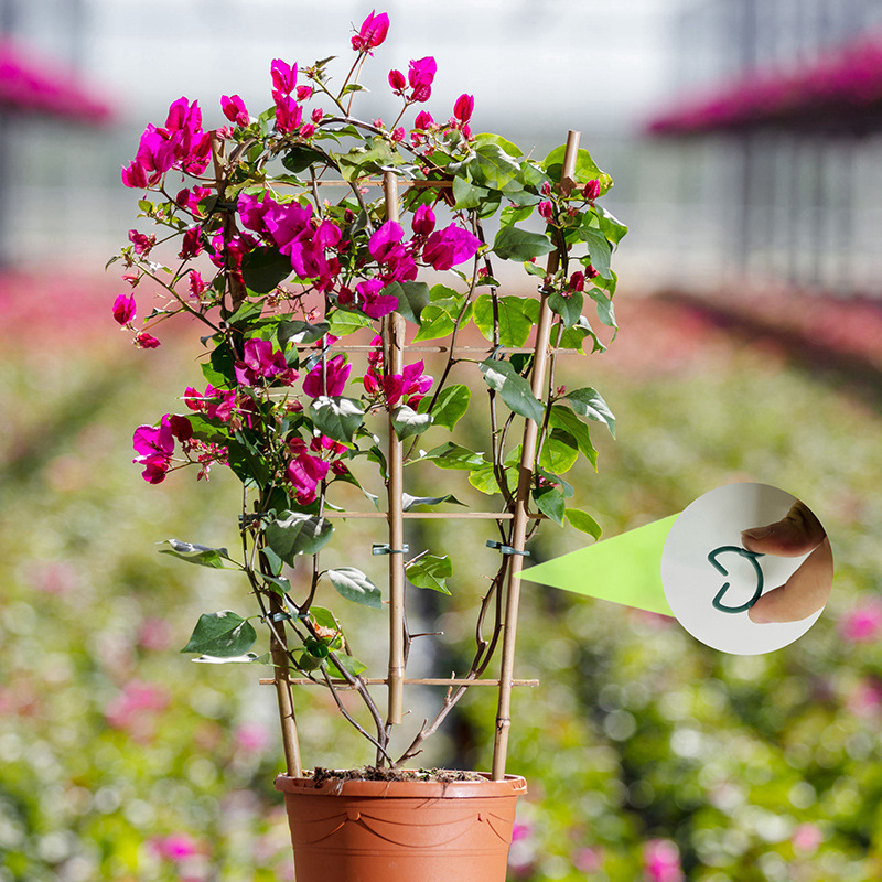 50/100pcs Garden Plant Clips V - огляд і ціна Agriculture Vertical Farming