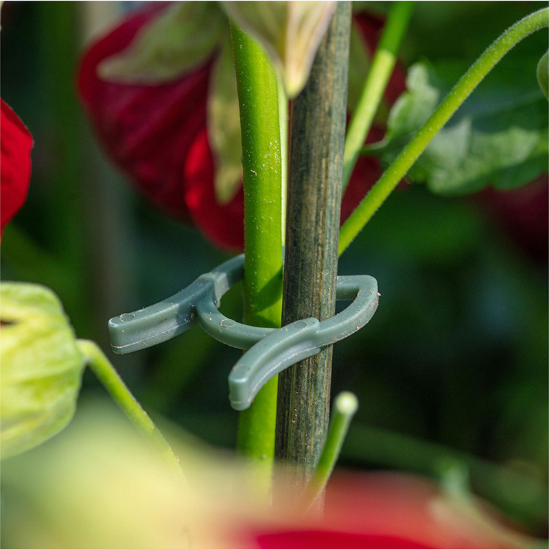 50/100pcs Garden Plant Clips V - огляд і ціна Agriculture Vertical Farming