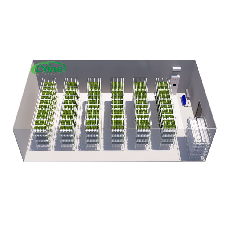 Agricultural Greenhouses Lettu - огляд і ціна Agriculture Vertical Farming