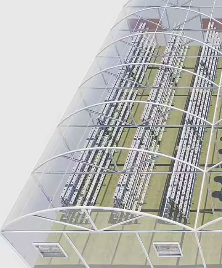 Agricultural Greenhouses Lettu - огляд і ціна Agriculture Vertical Farming